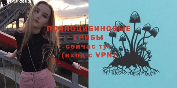 экстази Михайлов