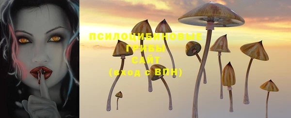 экстази Михайлов