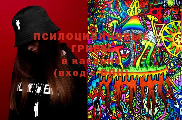 экстази Михайлов